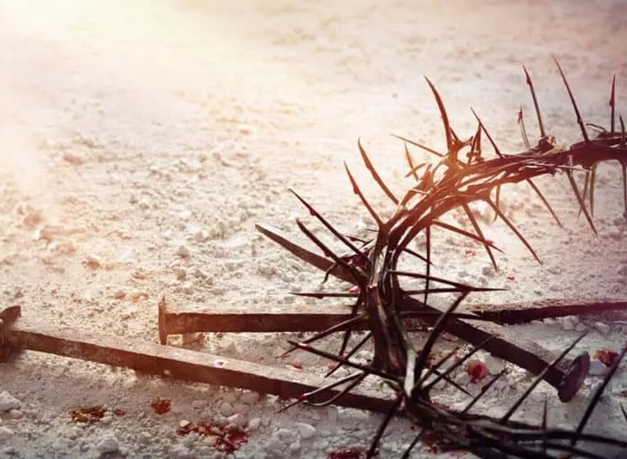 340258322 749102596871435 533176979886111336 n