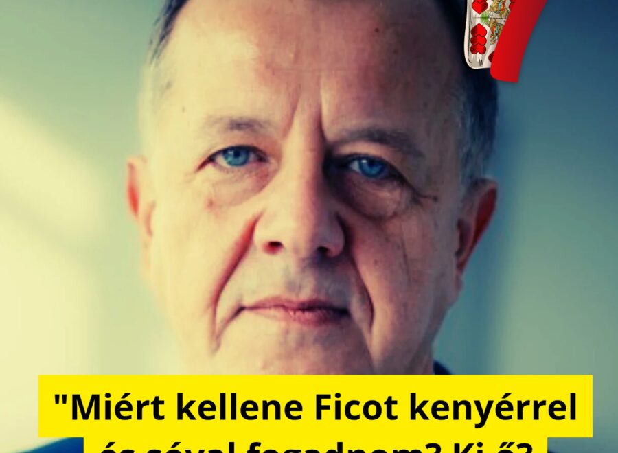 Miért kellene Ficot kenyérrel és sóval fogadnom Ki ő A király 20251104 122927 0000