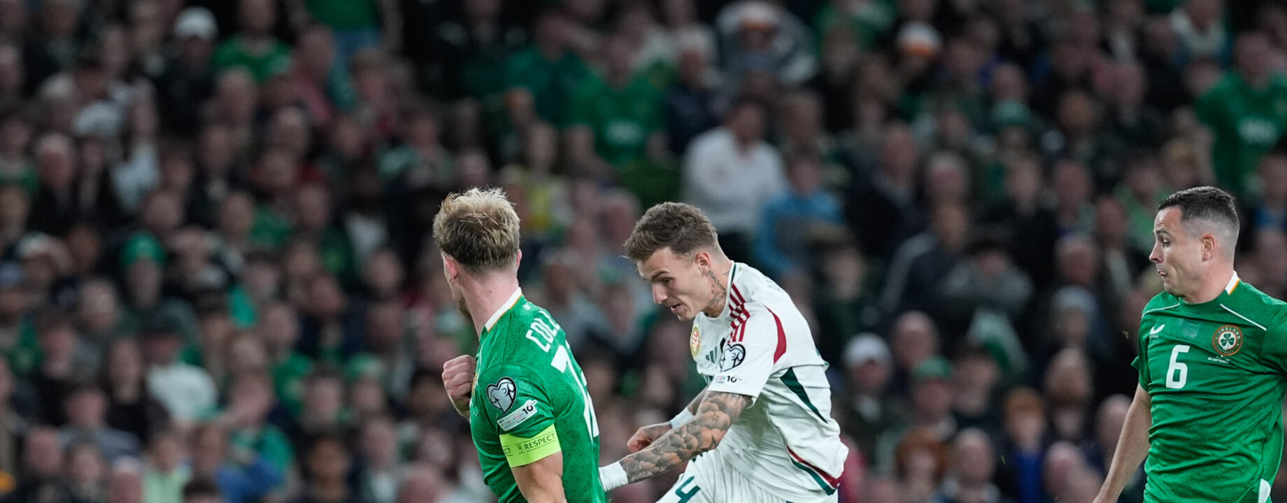 542994364 1162188882600778 7425610382022238076 n