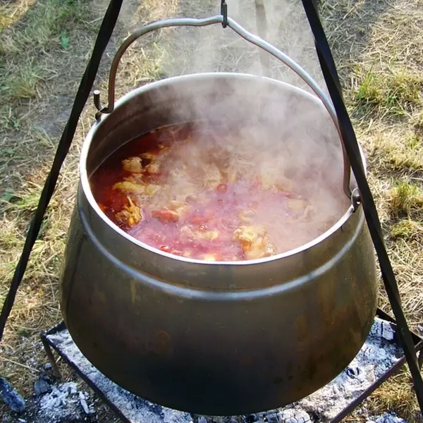 Kettle goulash 1645207 960 720