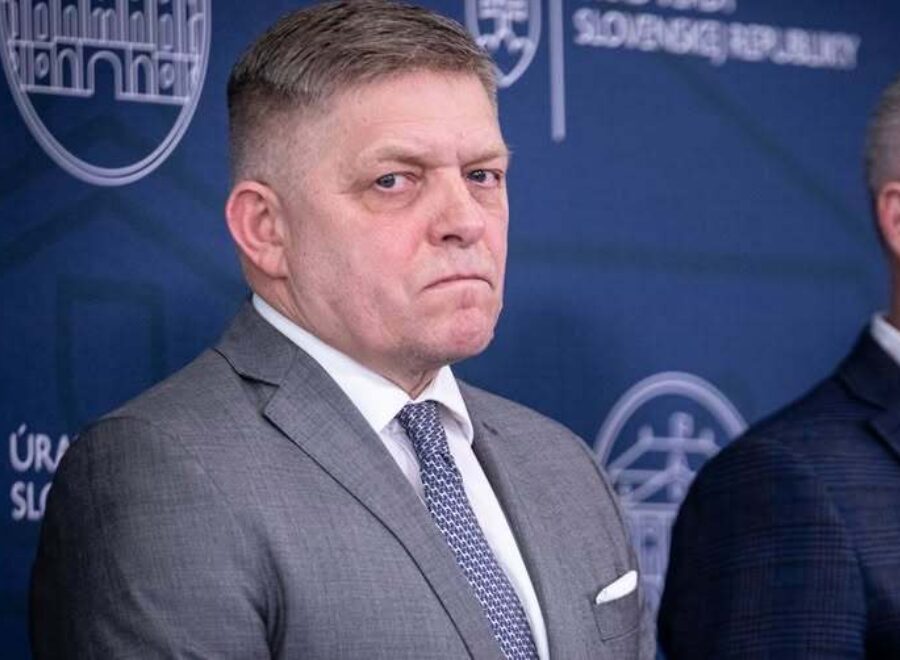 490062431 1102680078567731 4513815232194118097 n