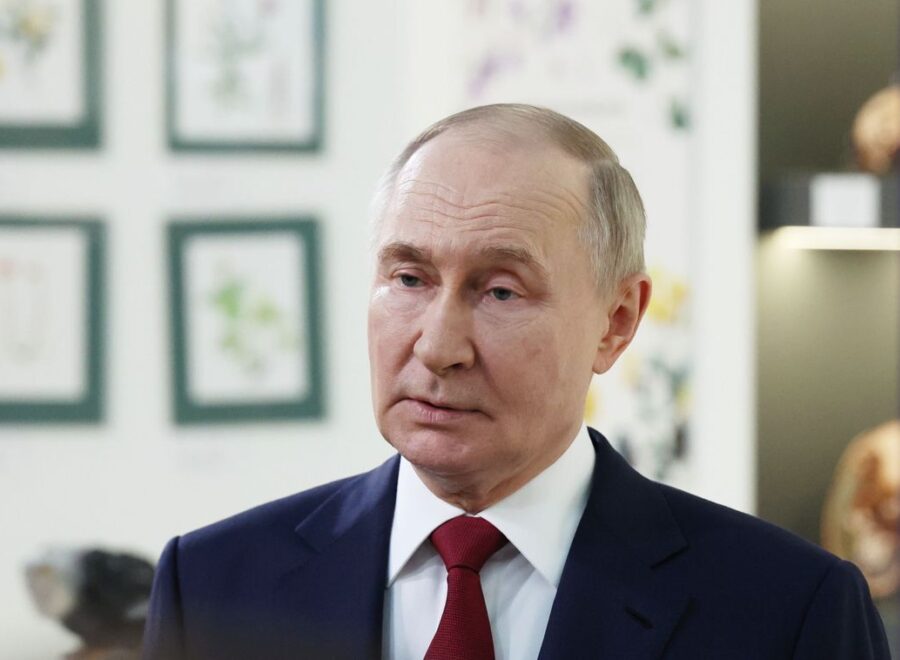 Putler