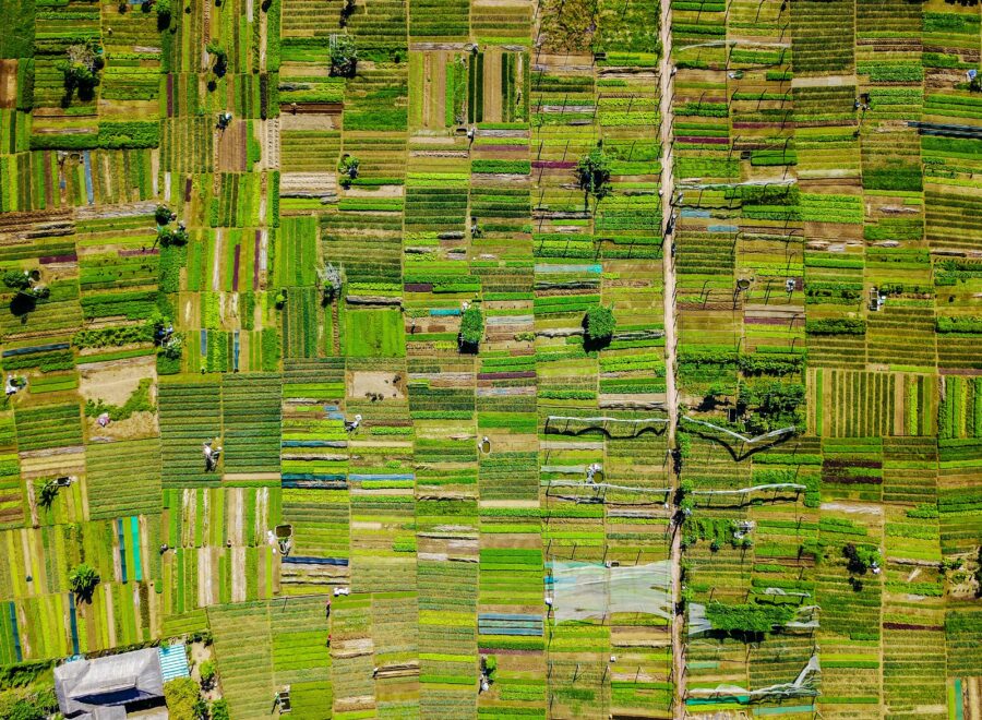 NYITÓKÉP rod long J unsplash