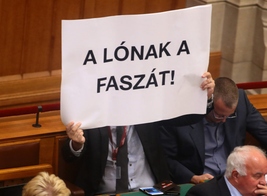 Hadházy és a tudománya