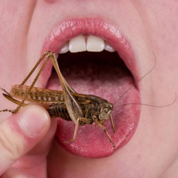 A woman eating a bug