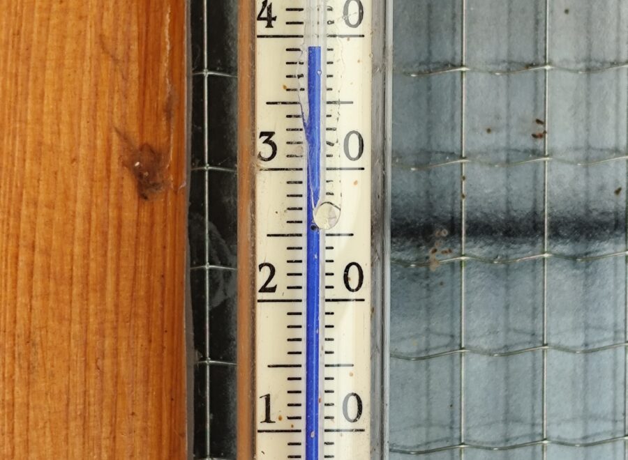 IMG 20250703 151823