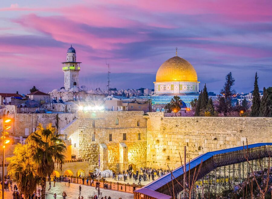 Jerusalem purple scaled