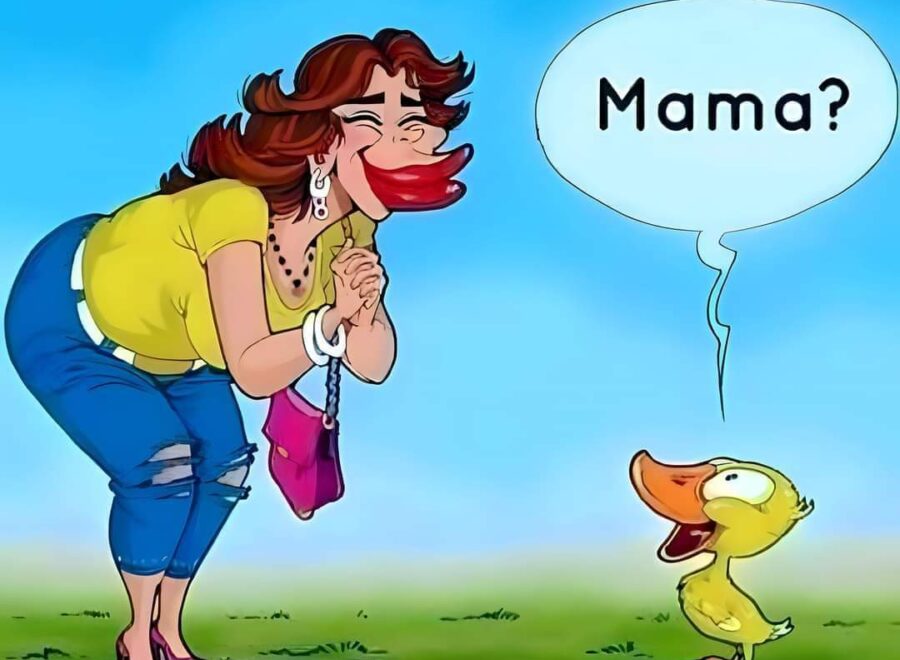 FB IMG 1714988268505