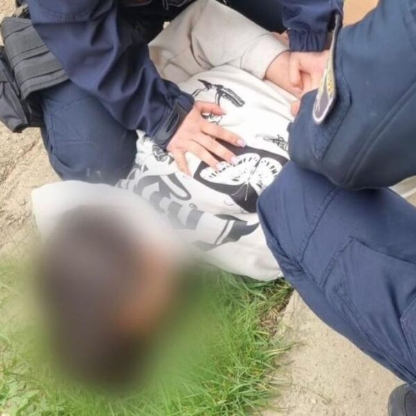 Karpatalja iskola lovoldozes