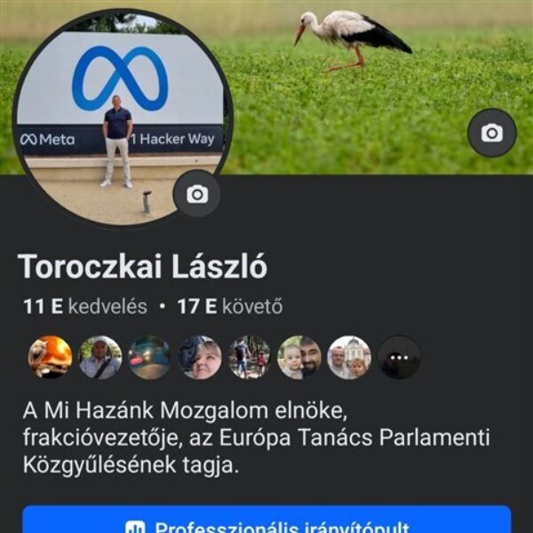 Toroczkai fb