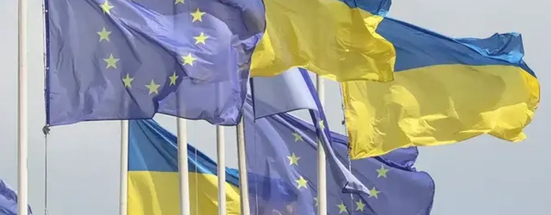 F23fa6f5d0c3432bcfac154bdfd07243