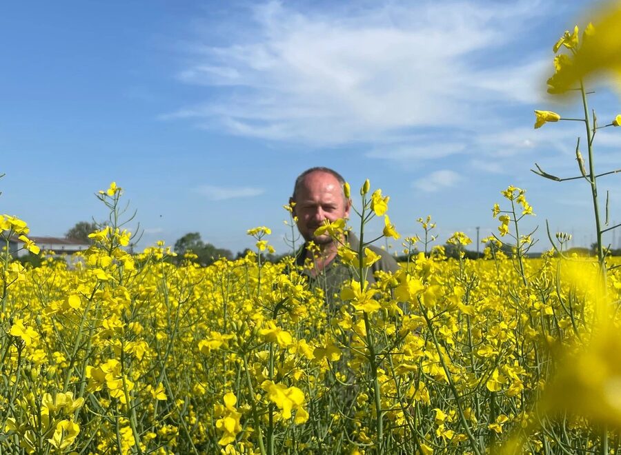 280585929 458834122718372 1751775276553195277 n 2