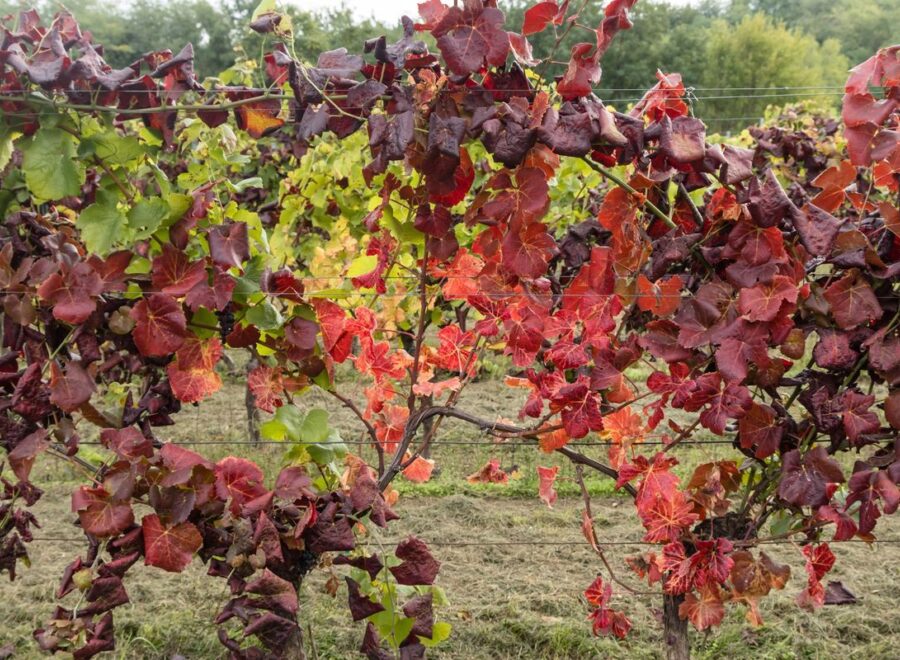 6ddc016b7bec45f09129c29df845f655