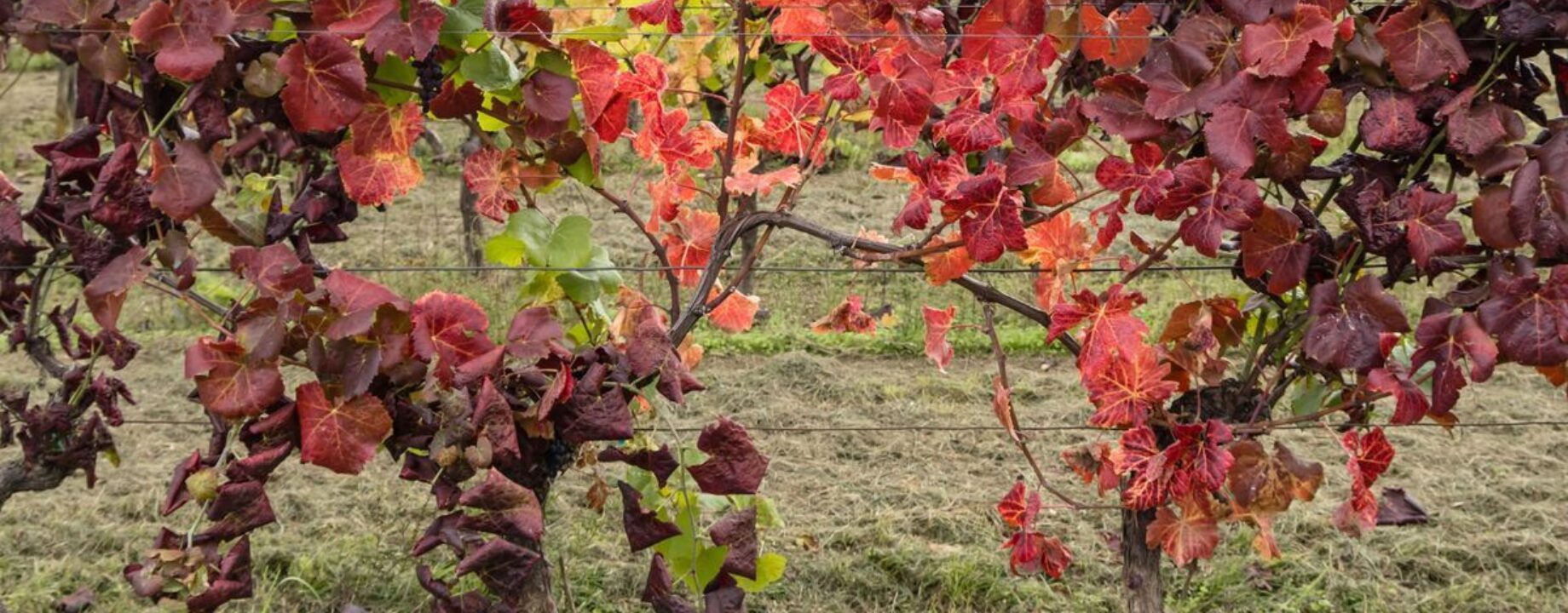 6ddc016b7bec45f09129c29df845f655