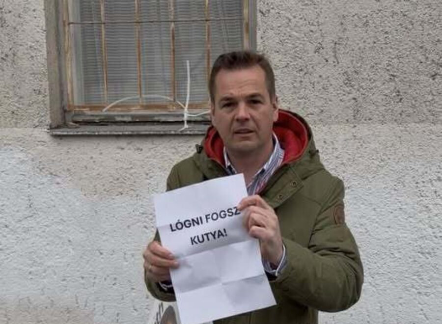 662332694 1324386562841515 1438545458769087875 n