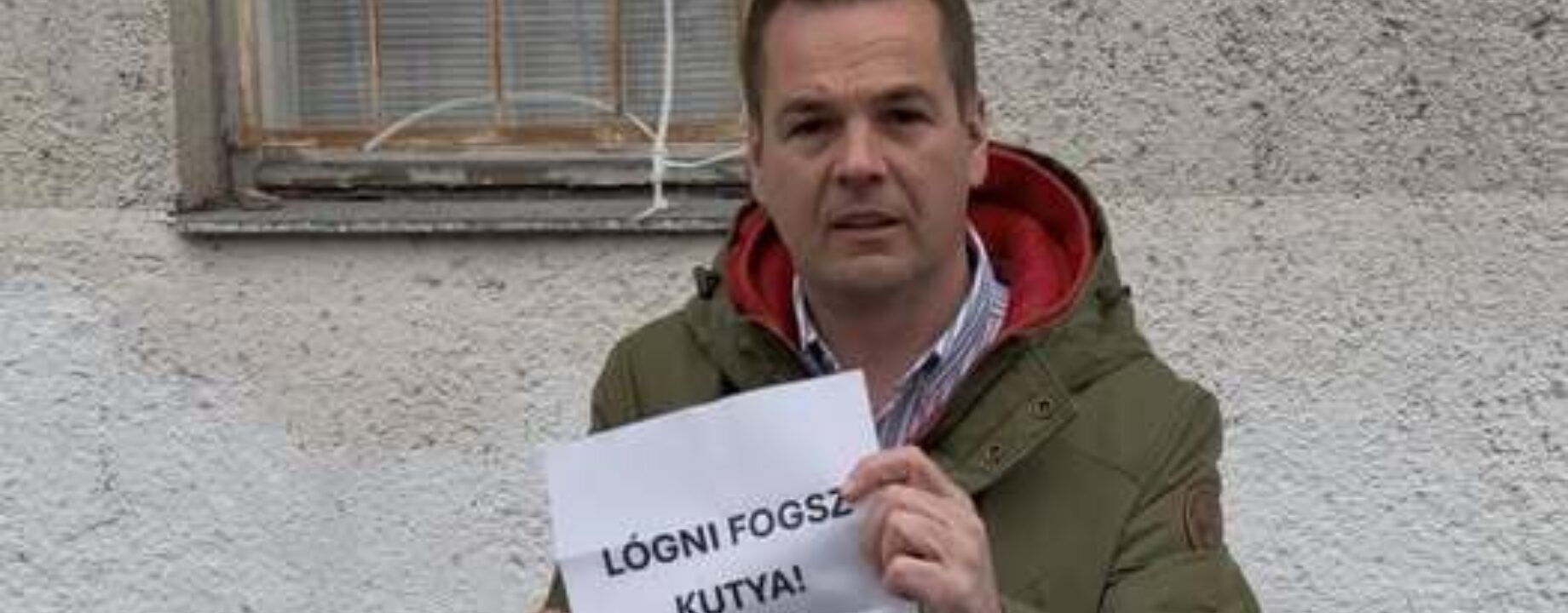 662332694 1324386562841515 1438545458769087875 n