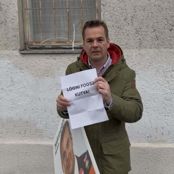 662332694 1324386562841515 1438545458769087875 n