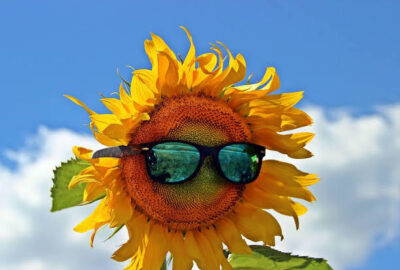 Images 10