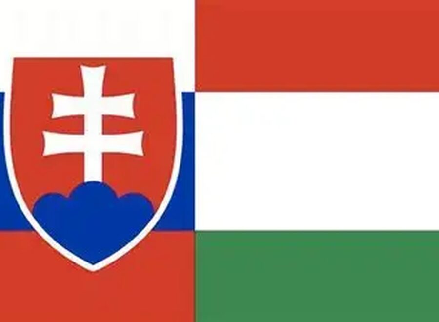 Szlovák magyar