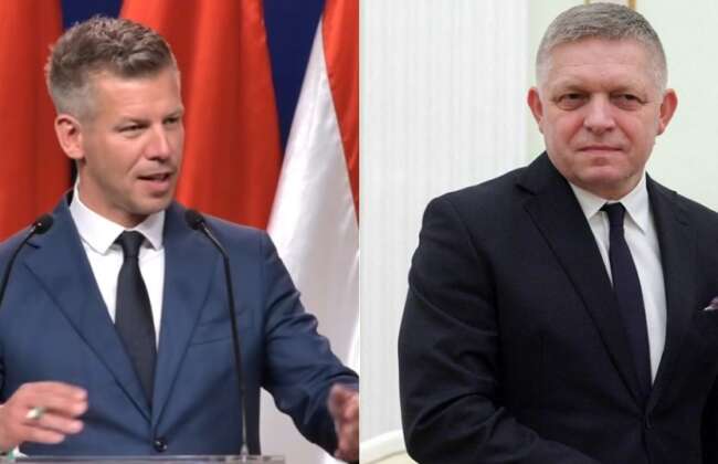Fico magyar