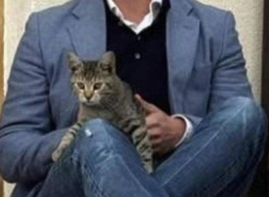 671853045 26729300880036761 6053303503593233679 n