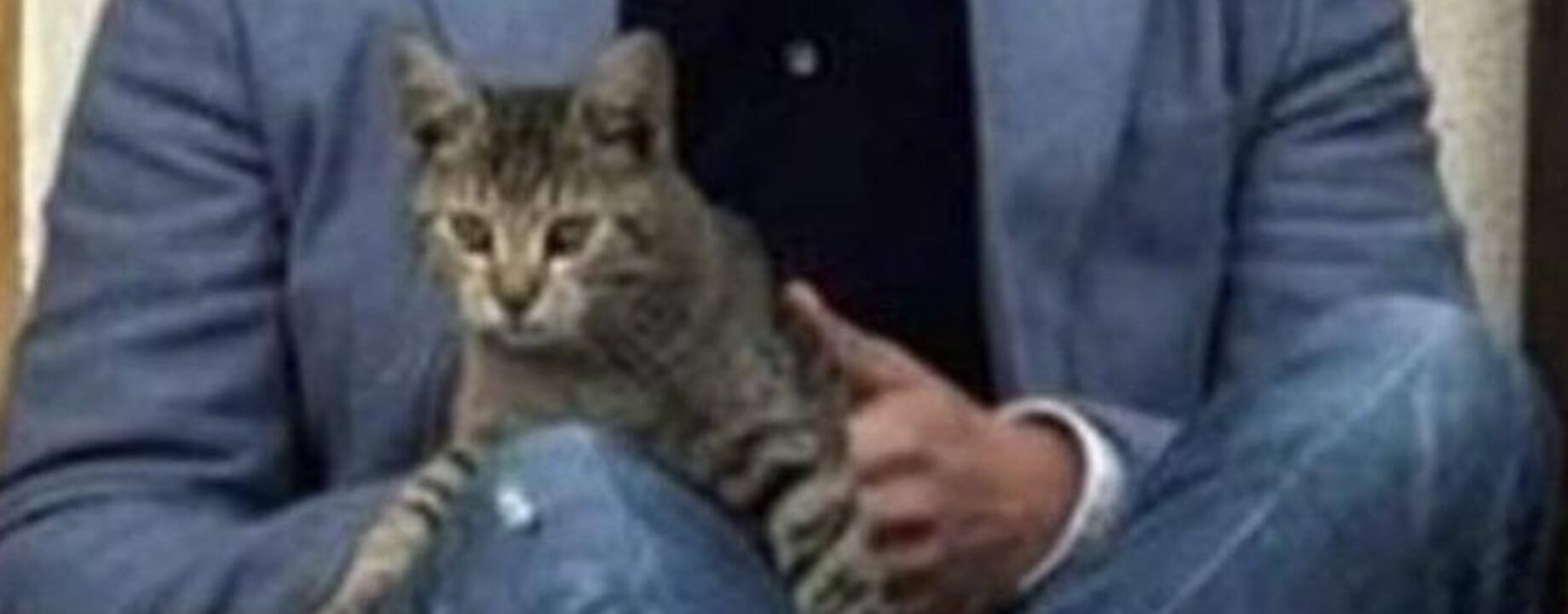 671853045 26729300880036761 6053303503593233679 n