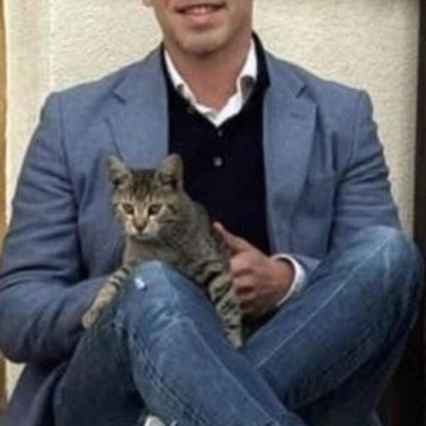 671853045 26729300880036761 6053303503593233679 n