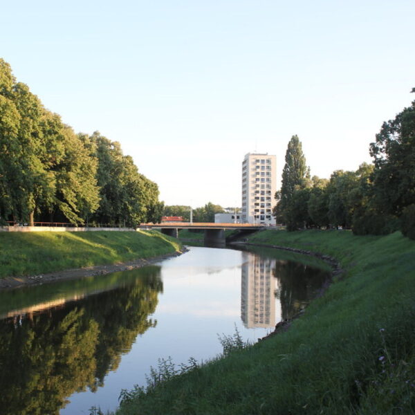 Nyitra