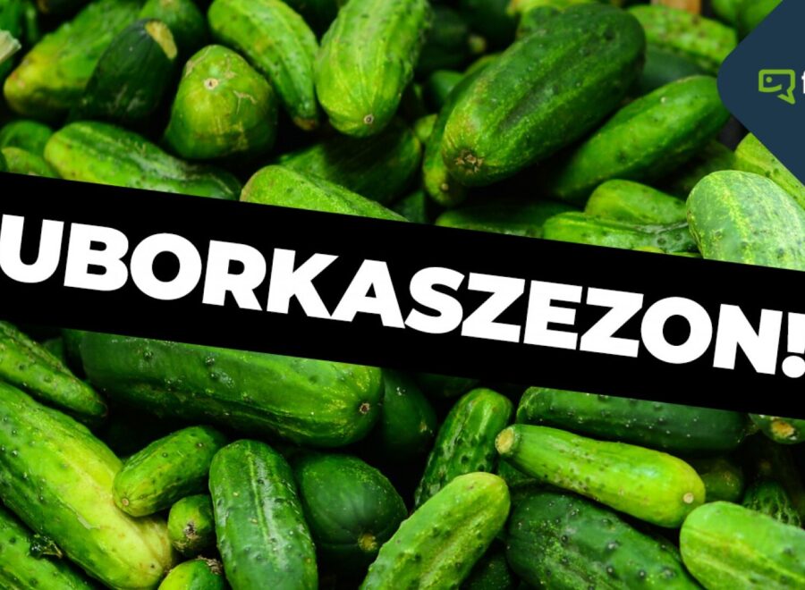 Uborkaszezon