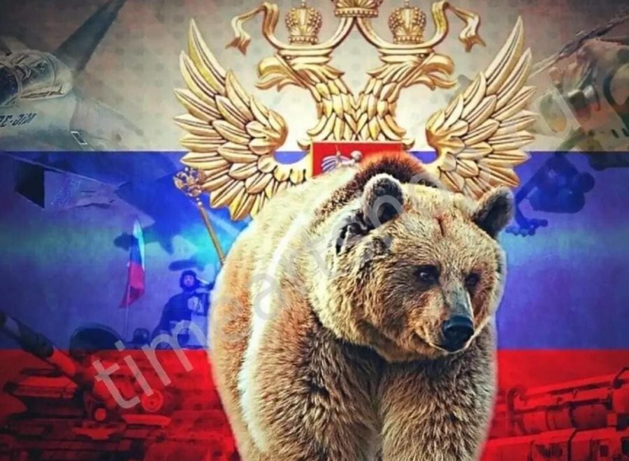 Orosz medve