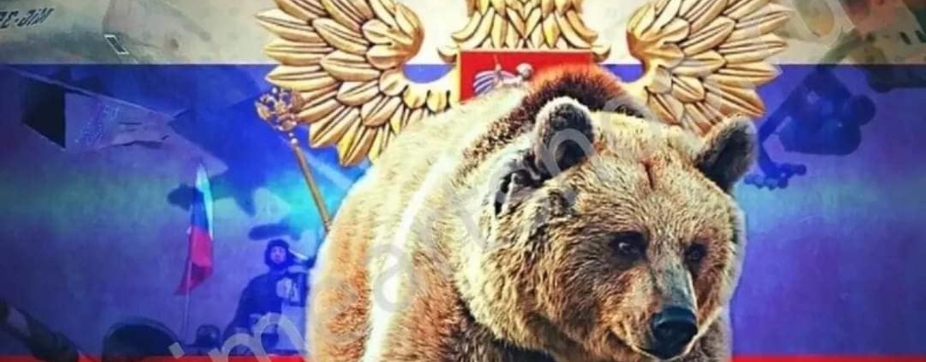 Orosz medve