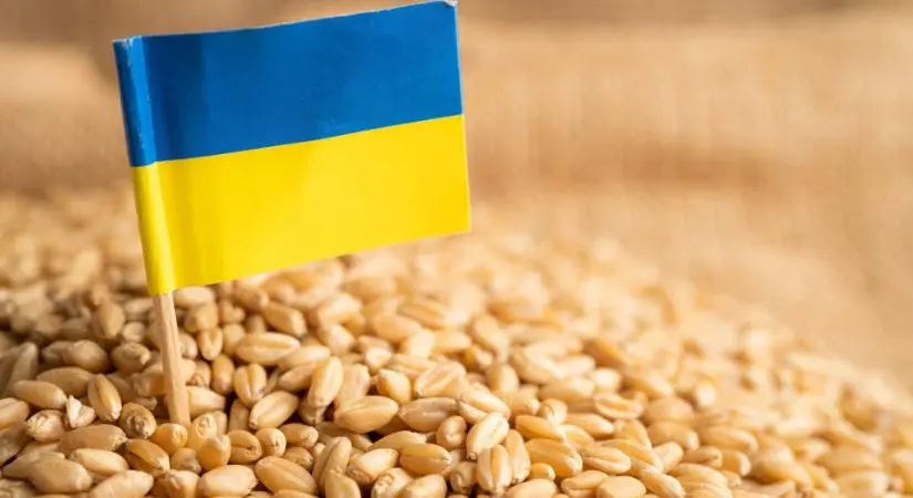 Ukrán gabona