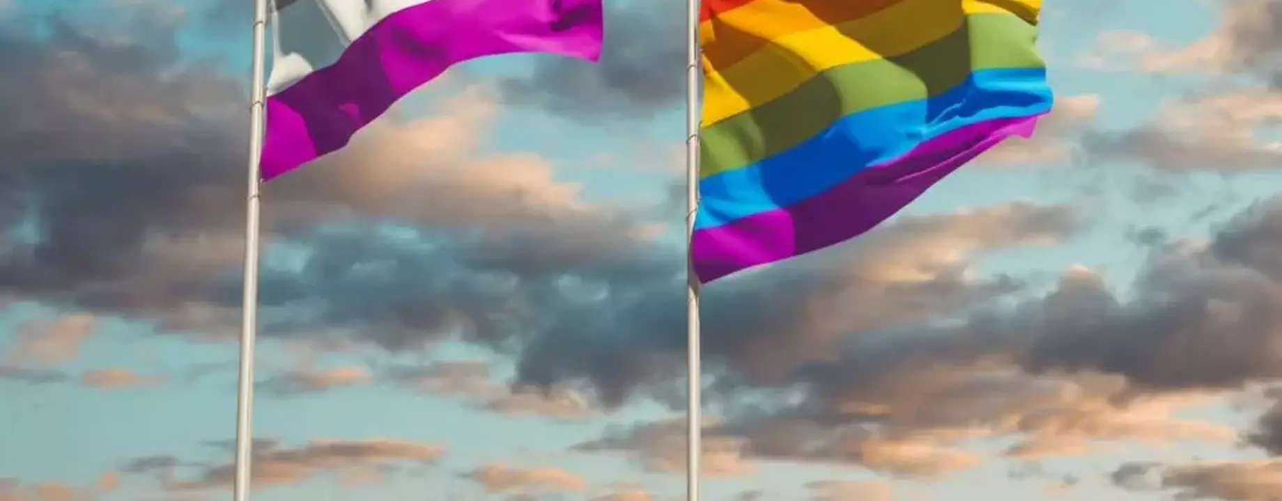 What Exactly Is The Asexual Pride Flag and What Does It Mean 960x667 jpg