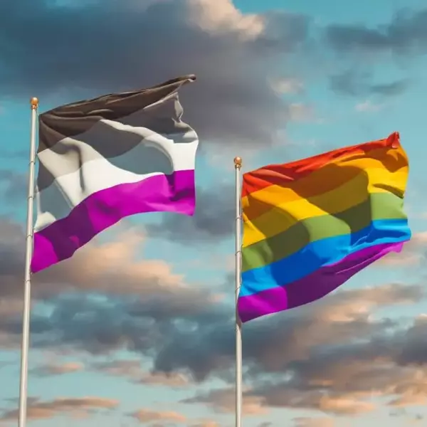 What Exactly Is The Asexual Pride Flag and What Does It Mean 960x667 jpg