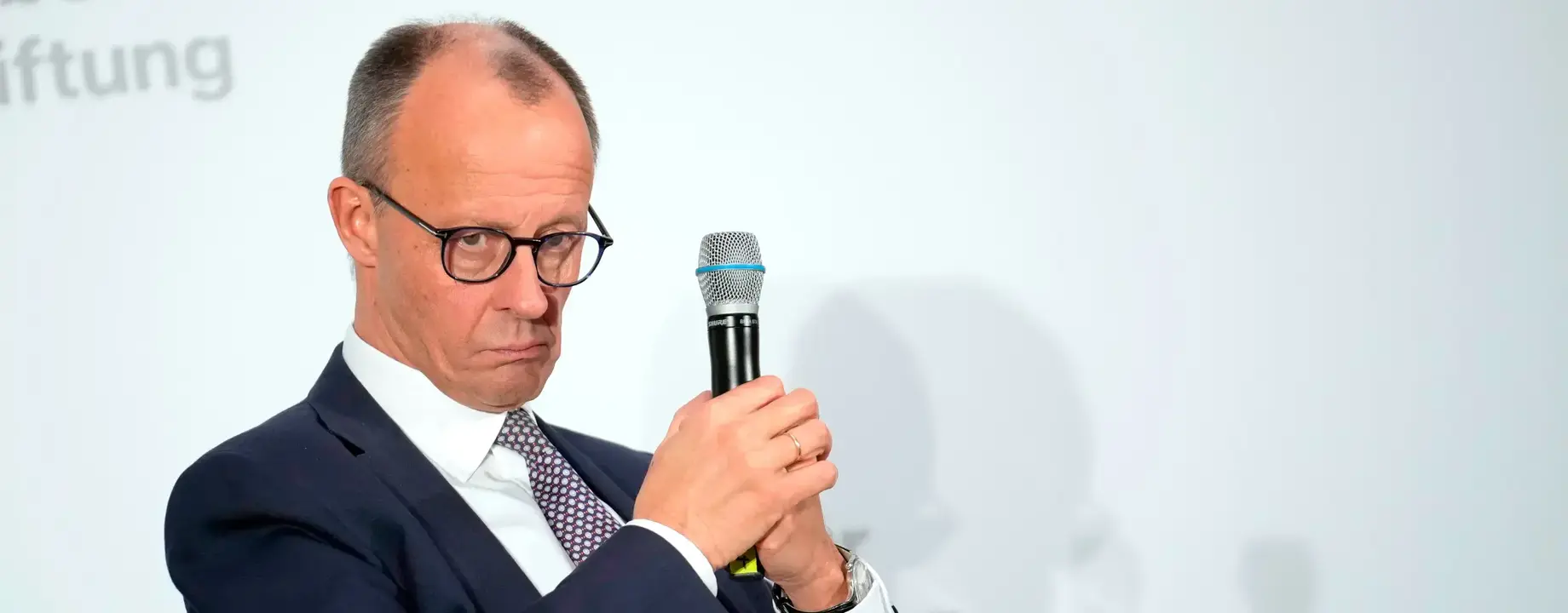Merz afd