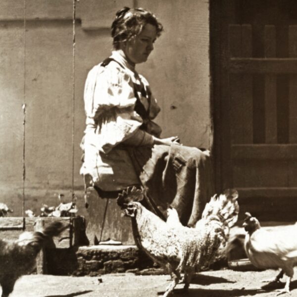 Asszony a baromfiudvaron 1902 ben Kép forrása Fortepan Vértes Károly képe