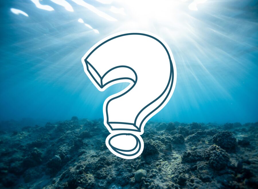 Fotó pexels jeremy bishop