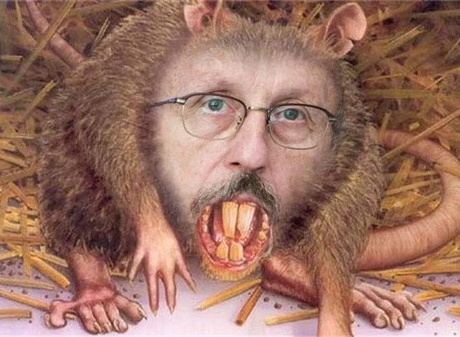 Niedellermuller patkany03