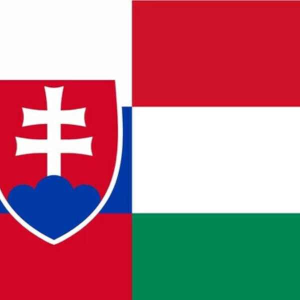 Sk hu zaszlo 1 jpg
