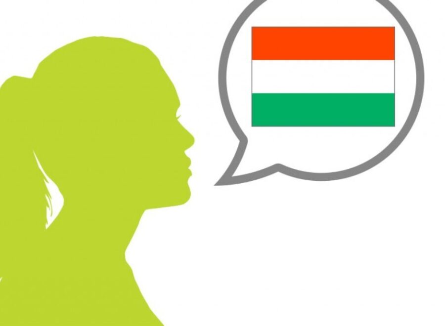 Magyar nyelv