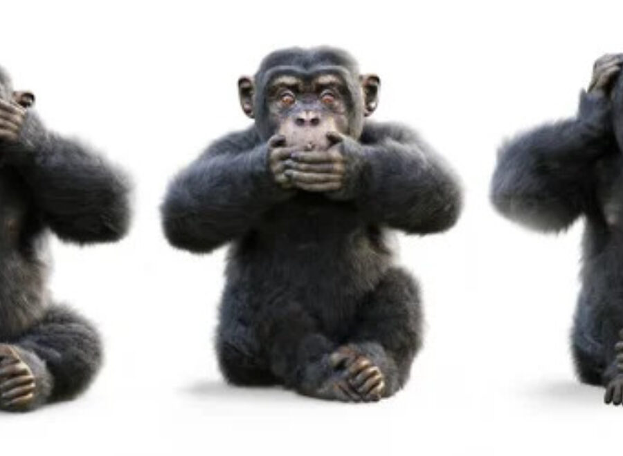 Depositphotos 423395912 stock photo three wise monkeys monkey see