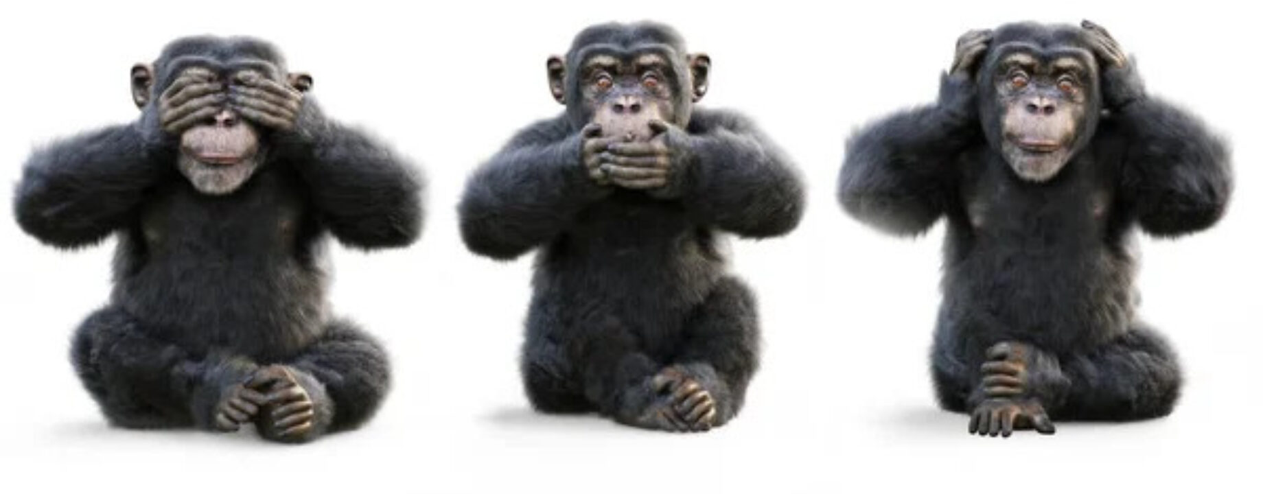 Depositphotos 423395912 stock photo three wise monkeys monkey see