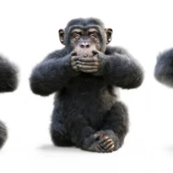 Depositphotos 423395912 stock photo three wise monkeys monkey see