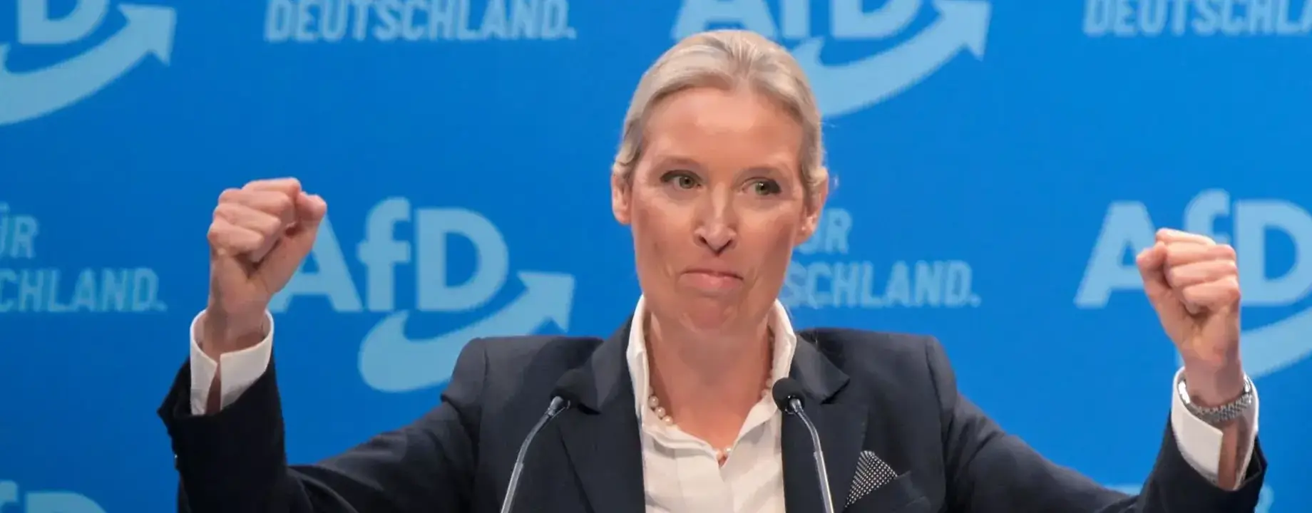 Alice weidel sie ist kanzlerkandidatin der afd