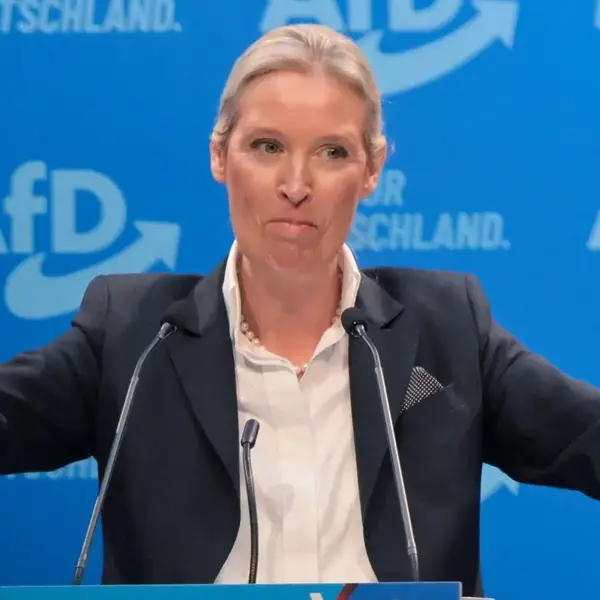 Alice weidel sie ist kanzlerkandidatin der afd