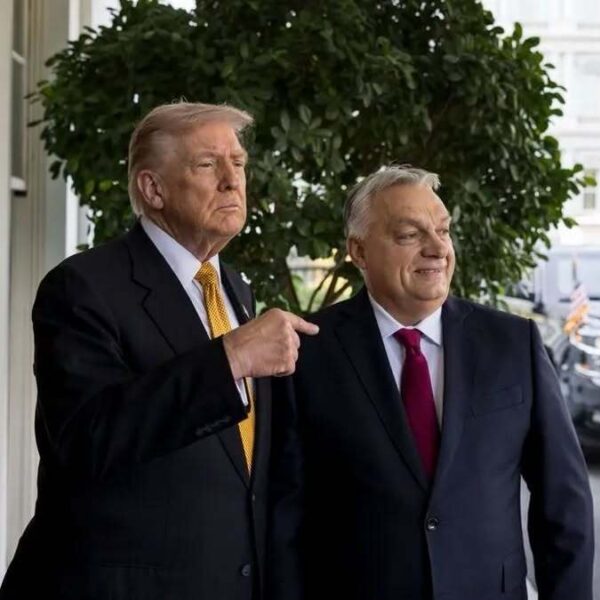 637390753 1494849588668251 5858207168526801492 n