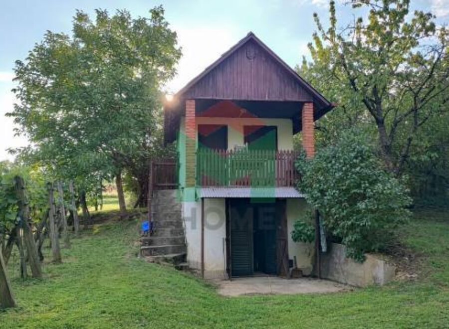 Szőlőhegy