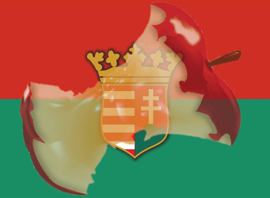 308829864 472581428230823 7368642137490435261 n