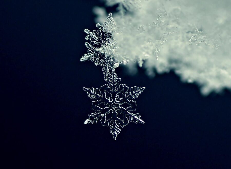 403735138 6791117204257937 4543979677863460036 n