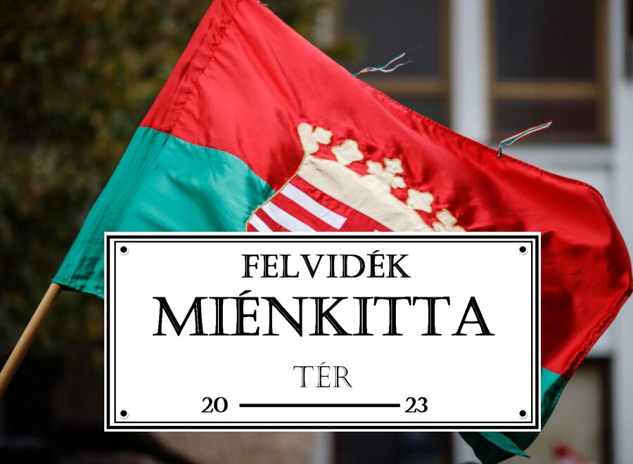 Img 7535 felvidfelvideki zaszlo